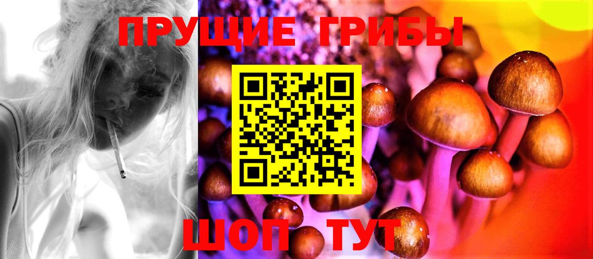 Узловая  Галлюциногенные грибы MAGIC MUSHROOMS  Псилоцибиновые грибы Psilocybe  Вход с VPN 